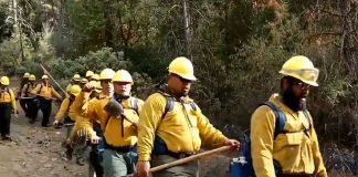 Bomberos de Samoa cantan himnos en movimiento en medio de incendios forestales en California