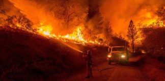 Arde en llamas el oeste de Jerusalém, continúan los bomberos batallando con los Incendios