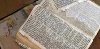 EE: UU.:Mujer encuentra Biblia tras huracán y queda impactada con el mensaje que halló en ella